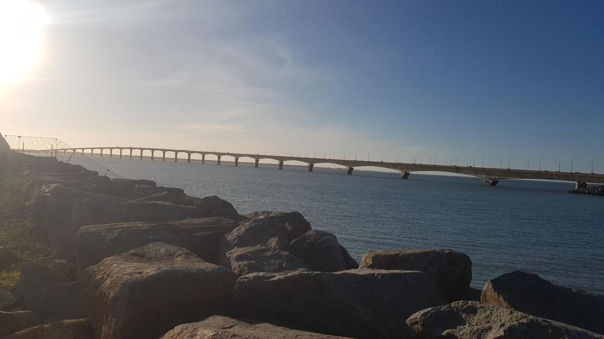 Chaleureux T2 30 M2 Et Sa Terrasse Bois 18 M2 Lejlighed La Rochelle  Eksteriør billede